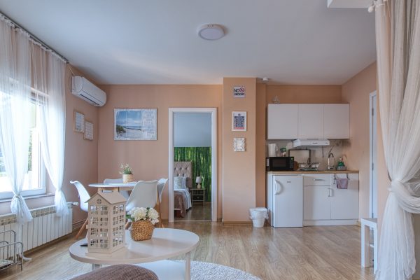 vila danube lux sa bazenom na obali dunava (15)