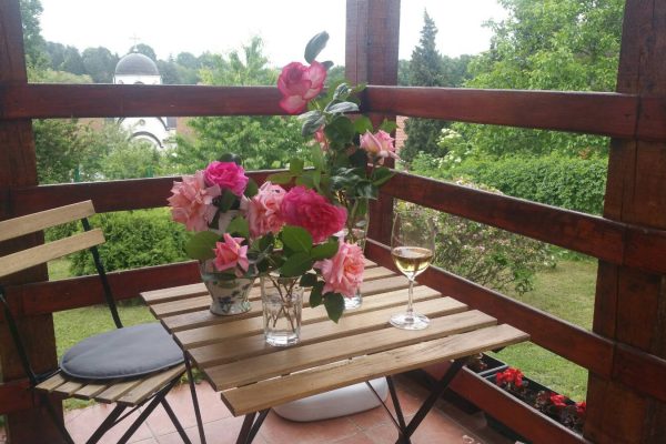 vila avala beograd iznajmljivanje (10)