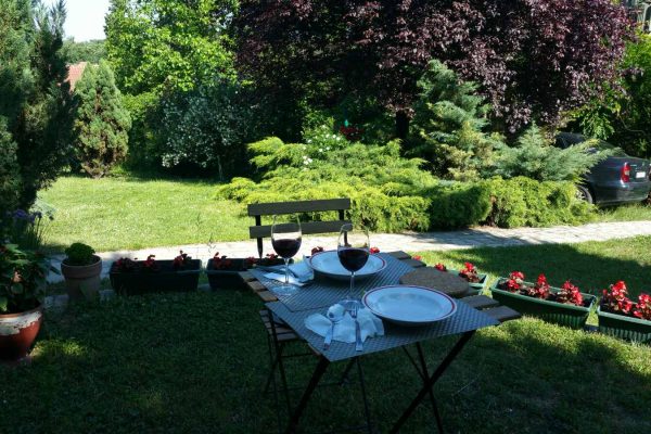 vila avala beograd iznajmljivanje (11)