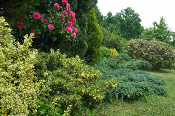 vila avala beograd iznajmljivanje (14)