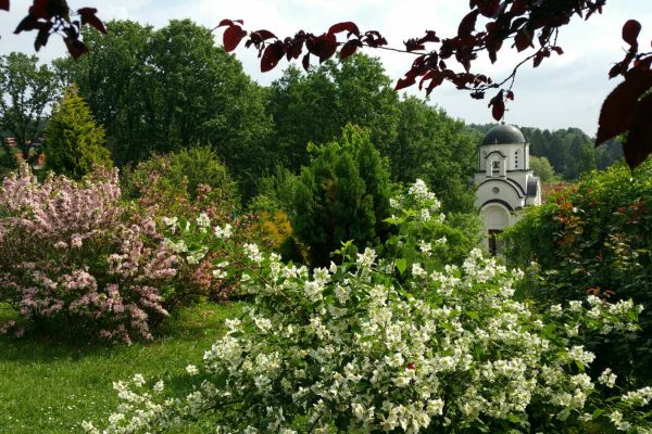 vila avala beograd iznajmljivanje (6)